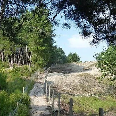 Vue Et Grande Roue Balneo 5 Pers